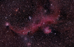 The Seagull Nebula
