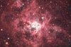 The Tarantula Nebula