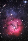 The Trifid nebula in Sagittarius