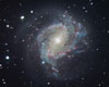 Spiral Galaxy in Hydra