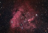 RCW105 in Norma