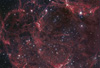 Vela Supernova Remnant