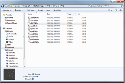 Initial Details view